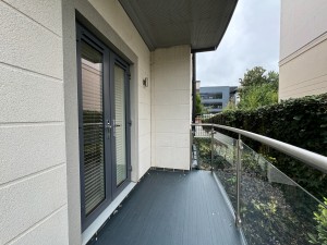 Athena Court, Bridge Avenue, Maidenhead - Photo 11