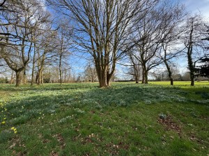 Hunt's Lane, Taplow, Maidenhead - Photo 11